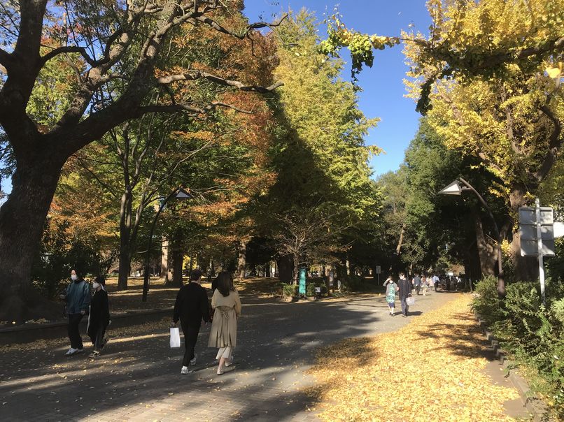 秋の上野公園