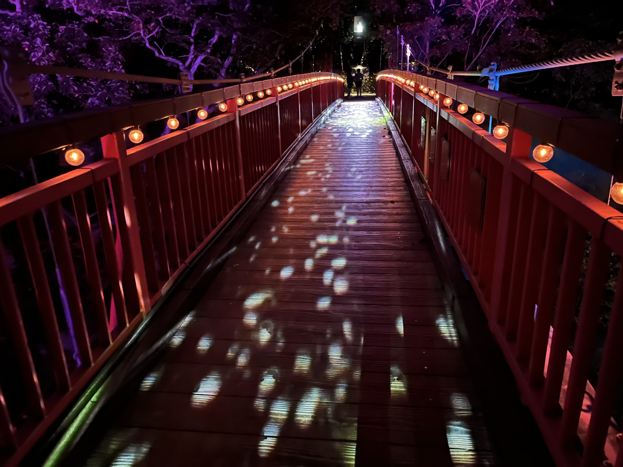 北海道・定山渓の橋でのライトアップの写真